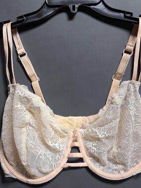 Parisa Lace Bra 36G Sheer Unlined Nude Strappy Front
